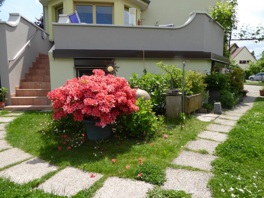 Studio Rouffach Exterior foto